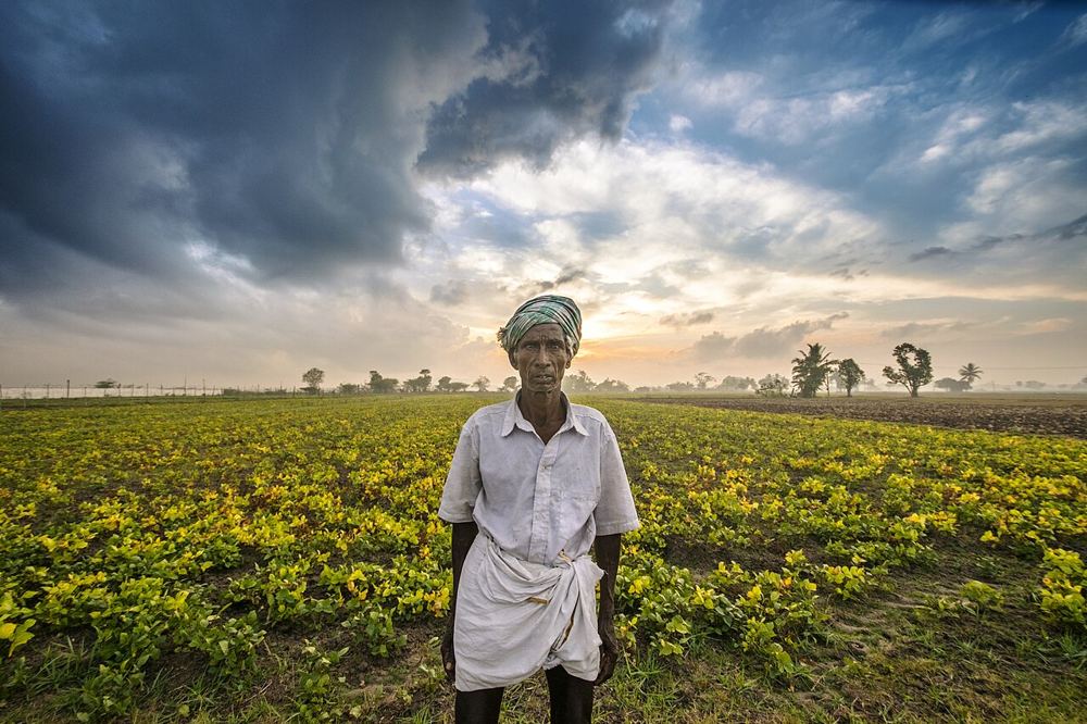 Farmer standing proudly in his field